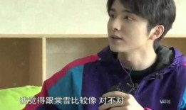 张新成最新爆料,幕后故事与心路历程