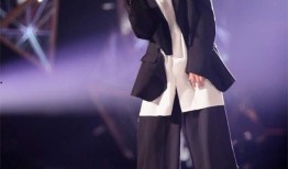 歌手2024最新爆料,神秘嘉宾揭晓，精彩对决即将上演！